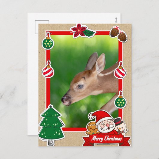 Fawn (Weißschwanzhirsche) Weihnachtskarte Feiertagspostkarte (Vorne/Hinten)