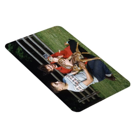 Fawns, Baby Deer Magnet (Rechte Seite)