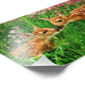 Fawns Foto Print (Ecke)