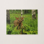 Fawn's Game Puzzle (Horizontal)