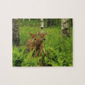 Fawn's Game Puzzle (Horizontal)