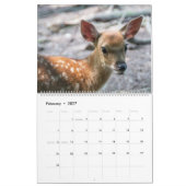 Fawns-Kalender Kalender (Feb 2027)