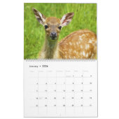 Fawns-Kalender Kalender (Jan 2026)