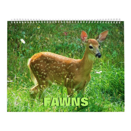 Fawns-Kalender Kalender (Titelbild)