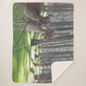 FAWNS SHERPADECKE (Vorderseite)