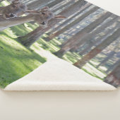 FAWNS SHERPADECKE (3/4)
