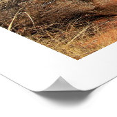 Fay Canyon Landscape Poster (Ecke)