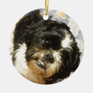 FB_IMG_1481505521015 Shitzu Hund Keramikornament