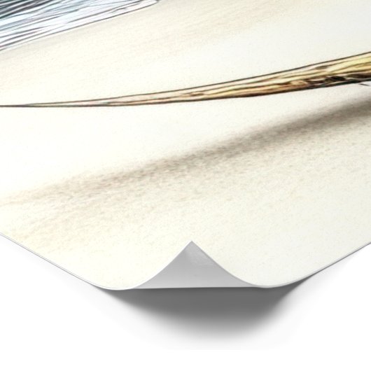 FD2 Enchanted Crescent Moon Goddess 1 Poster (Ecke)