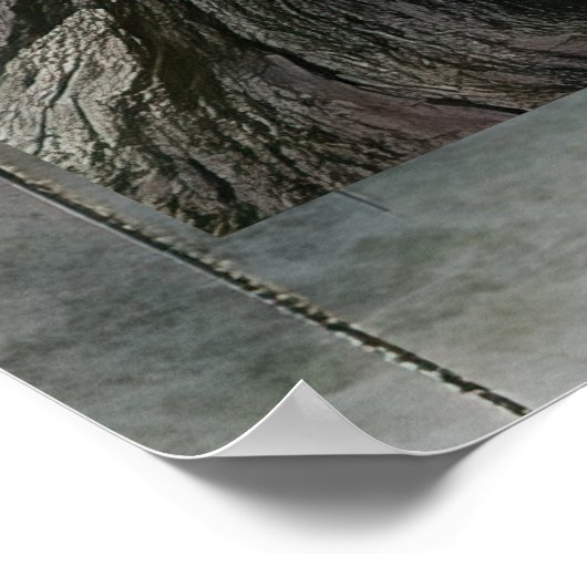 FD2 Enchanted Crescent Moon Goddess 22 Poster (Ecke)