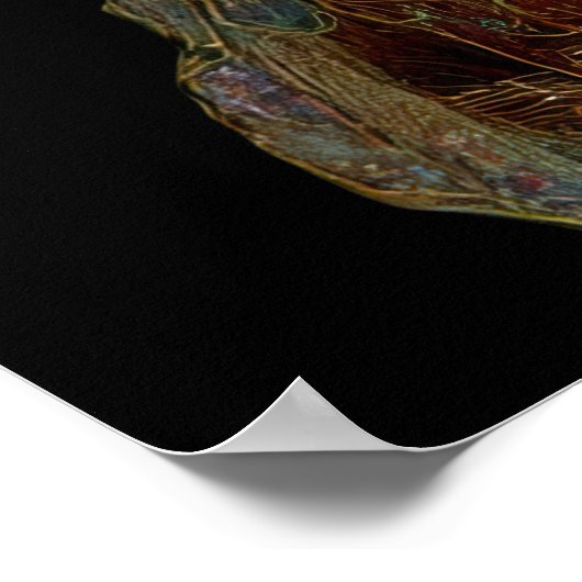 - FD2 Enchanting Fantasy Dreamy Muse 3 Iridescent  Poster (Ecke)