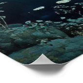 *~* FD3 12 Bezaubernde Forest Nymph Fantasy Poster (Ecke)