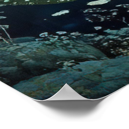 *~* FD3 27 Bezaubernde Forest Nymph Fantasy Poster (Ecke)