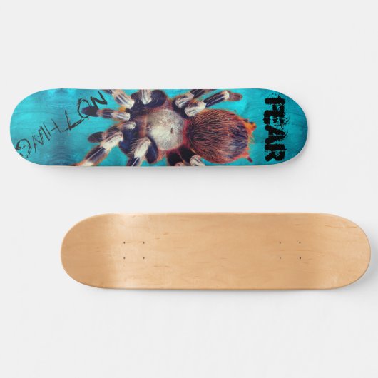 Fear Nothing Cool Tarantula Skateboard (Horizontal)