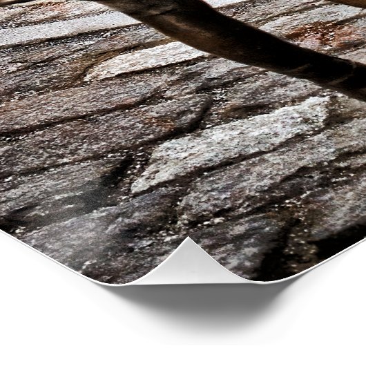 Fearless Girl steht vor Rampingbulle Poster (Ecke)