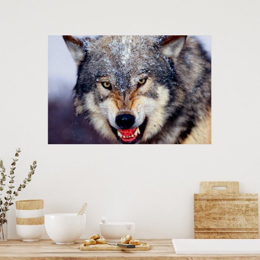 Fearsome Wolf Poster (Küche)