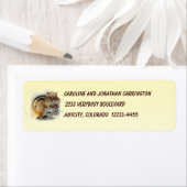 Feasting Chipmunk (Insitu)