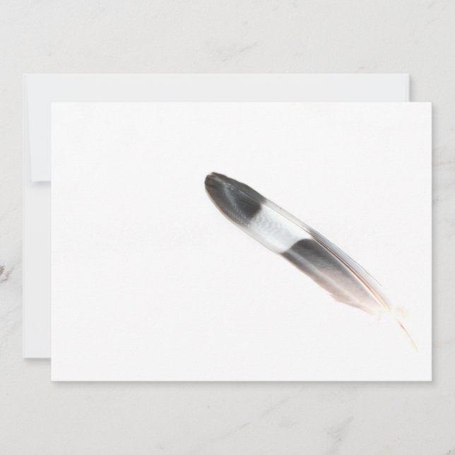 Feather (Vorderseite)