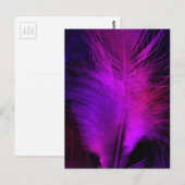 feather beautiful.jpg postkarte (Vorne/Hinten)