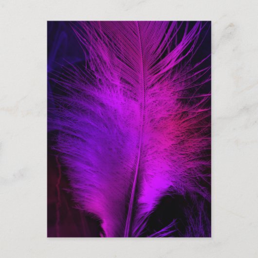 feather beautiful.jpg postkarte (Vorderseite)