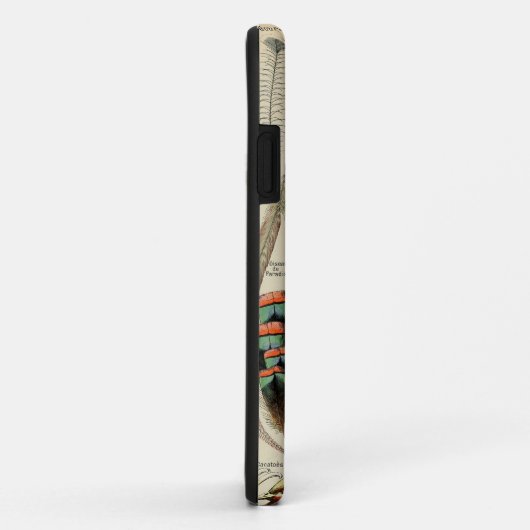 Feather Bird Wildlife Antique Feathers Case-Mate iPhone Hülle (Hinten/Rechts)