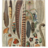 Feather Bird Wildlife Antique Feathers Duschvorhang (Vorderseite)