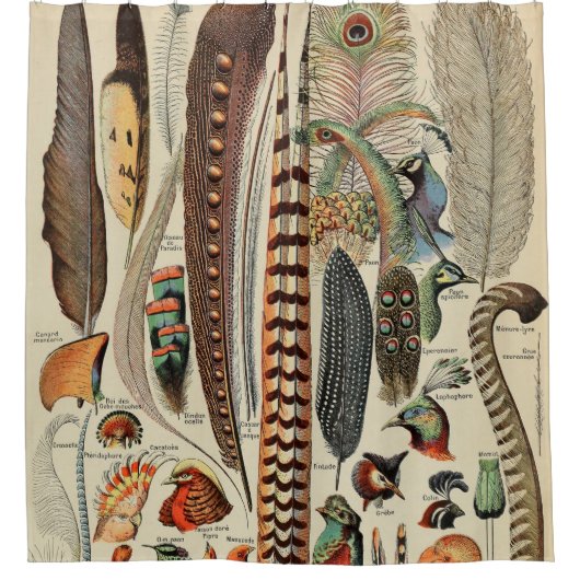 Feather Bird Wildlife Antique Feathers Duschvorhang (Vorderseite)