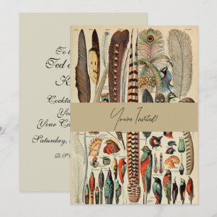 Feather Bird Wildlife Antique Feathers Einladung