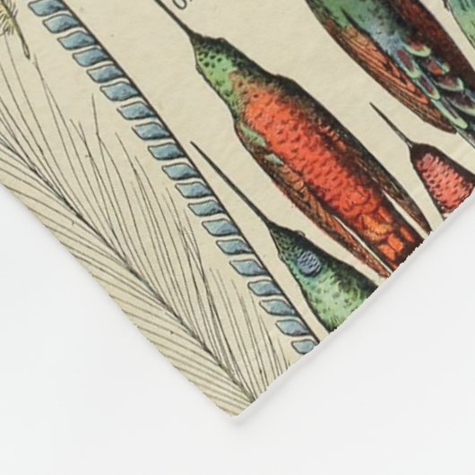 Feather Bird Wildlife Antique Feathers Fleecedecke (Ecke)