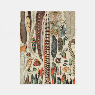 Feather Bird Wildlife Antique Feathers Fleecedecke