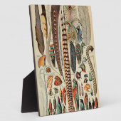 Feather Bird Wildlife Antique Feathers Fotoplatte (Seite)