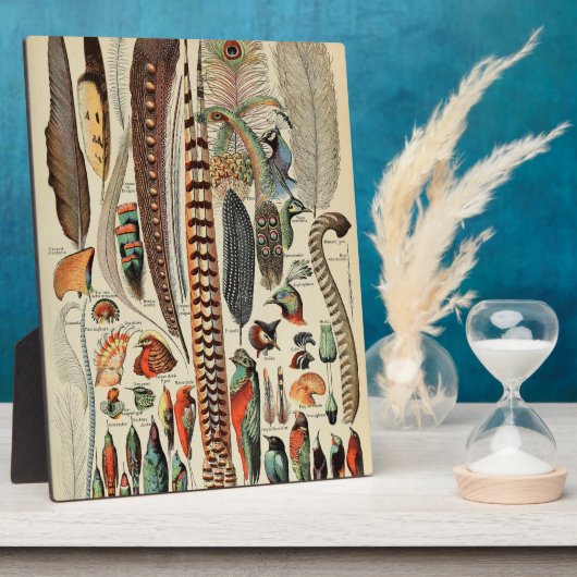 Feather Bird Wildlife Antique Feathers Fotoplatte (Seite)