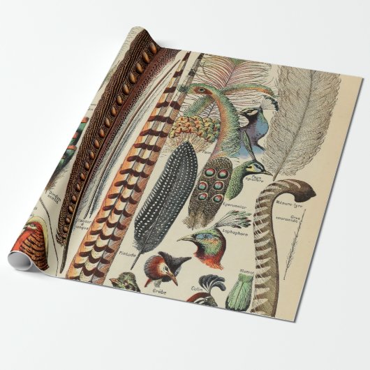 Feather Bird Wildlife Antique Feathers Geschenkpapier (Ungerollt)