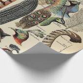 Feather Bird Wildlife Antique Feathers Geschenkpapier (Ecke)