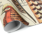 Feather Bird Wildlife Antique Feathers Geschenkpapier (Rolleneckpunkt)