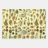 Feather Bird Wildlife Antique Feathers Geschenkpapier Set (Vorderseite 3)