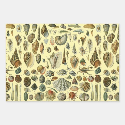 Feather Bird Wildlife Antique Feathers Geschenkpapier Set (Vorderseite 3)