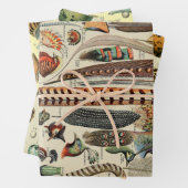 Feather Bird Wildlife Antique Feathers Geschenkpapier Set (Beispiel)