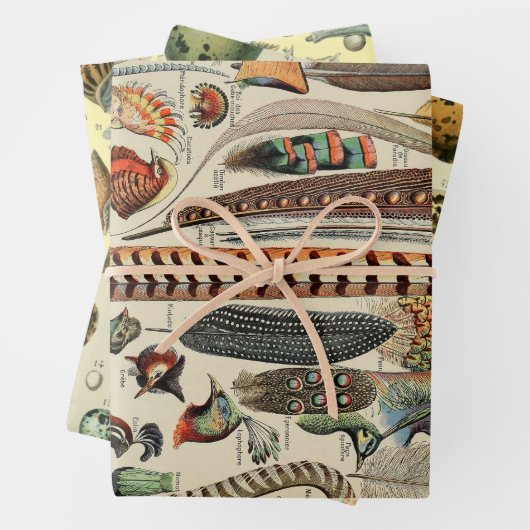 Feather Bird Wildlife Antique Feathers Geschenkpapier Set (Beispiel)
