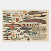 Feather Bird Wildlife Antique Feathers Geschenkpapier Set (Vorderseite)