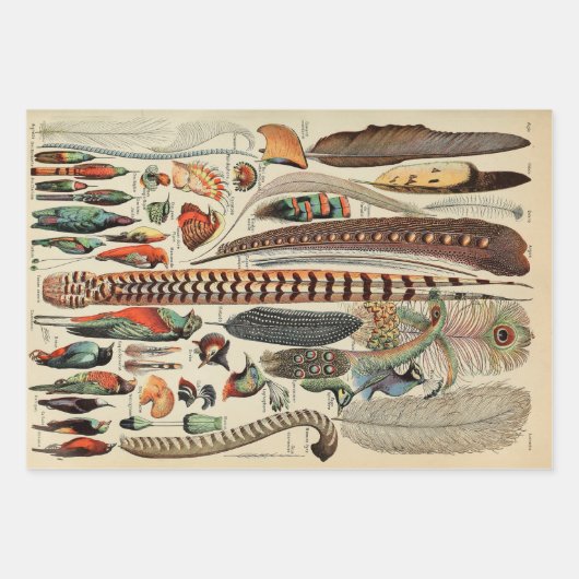 Feather Bird Wildlife Antique Feathers Geschenkpapier Set (Vorderseite)