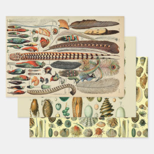 Feather Bird Wildlife Antique Feathers Geschenkpapier Set