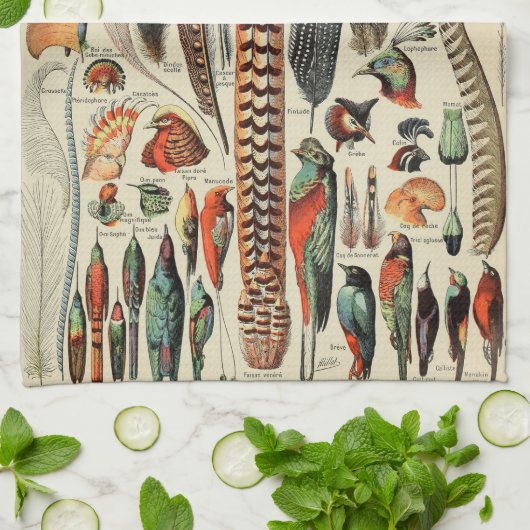 Feather Bird Wildlife Antique Feathers Geschirrtuch (Gefaltet)