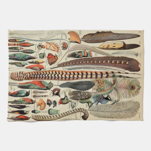 Feather Bird Wildlife Antique Feathers Geschirrtuch (Horizontal)