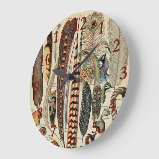 Feather Bird Wildlife Antique Feathers Große Wanduhr (Winkel)