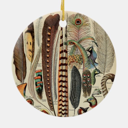 Feather Bird Wildlife Antique Feathers Keramik Ornament (Hinten)