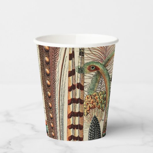 Feather Bird Wildlife Antique Feathers Pappbecher (Links)