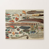 Feather Bird Wildlife Antique Feathers Puzzle (Horizontal)