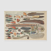 Feather Bird Wildlife Antique Feathers Seidenpapier (Vorderseite)