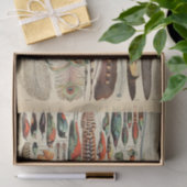 Feather Bird Wildlife Antique Feathers Seidenpapier (Geschenk)